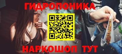 ПСИЛОЦИБИНОВЫЕ ГРИБЫ Кулебаки