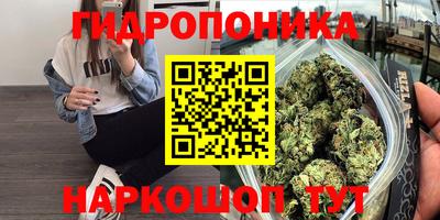 ПСИЛОЦИБИНОВЫЕ ГРИБЫ Кулебаки