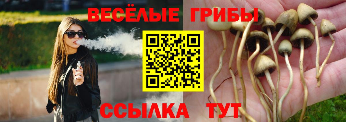 Галлюциногенные грибы мицелий Трёхгорный