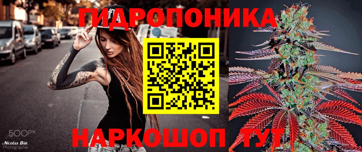 Бошки Шишки план Трёхгорный